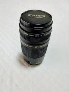 Canon 100-400mmF4.5-5.6 L IS USM望遠レンズ 2025年最新】canon fiveの人気アイテム - メルカリ