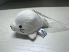 アザラシ ぬいぐるみキーホルダー プレジデントジャパン 約10cm