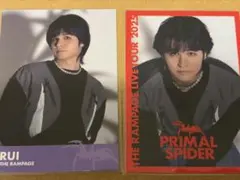 プラスパ フォトカ 与那嶺瑠唯