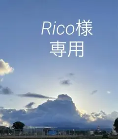 【専用】アクリルハート各種セット