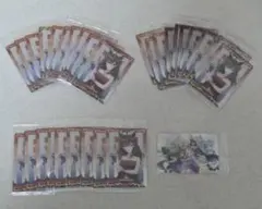 ナカヤマフェスタ　ウエハース　カード セット