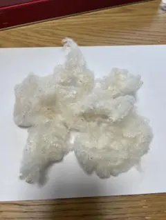 羊毛10グラム