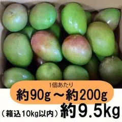 摘果マンゴー　　20kg m*e様 沖縄県産 摘果マンゴー 青マンゴー 20kg 常温発送 オークションC