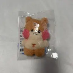 zeroni アイドル