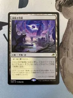 2025年最新】神無き祭殿の人気アイテム - メルカリ