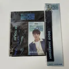 nctdream show 2019 ドリショ ヘチャン セット