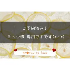 【ꕤ540】不知火デコ【訳あり品☆加工原料】10kg 熊本みかん