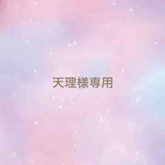 天理様専用ページ