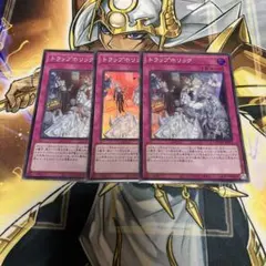 トラップホリック　スーパー　3枚