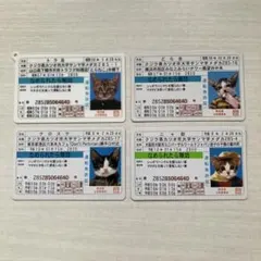 なめ猫運転免許証 4枚セットのサムネイル