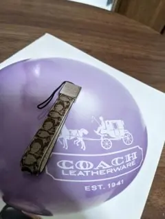 COACH 시그니처 스트랩 브라운
