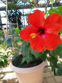 あーやん様　専用ページ