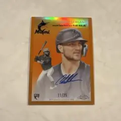 Item thumbnail for item f007a753-4127-4ae6-a9a2-7860eb825e7f