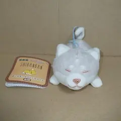 （ くろしばんばん ） しばんばん ましゅもっちひとくちサイズ