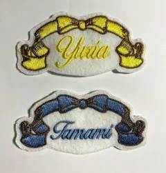 Item thumbnail for item 62d0c55b-1def-42fb-b25d-08d0ea8a311b