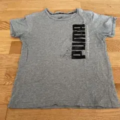 PUMA Ｔシャツ160㌢
