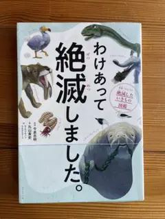 Item thumbnail for item 506ff84a-5539-4ca0-b602-f40f2dc42cad