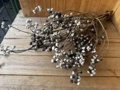 Sachi✼••様 リクエスト 2点 まとめ商品