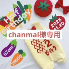 【3/3発送】chanmai様専用