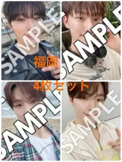 spill teh feels 消費期限 福岡 トレカ ディノ 4枚セット