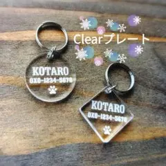 Item thumbnail for item 9a272cb4-8803-4cf4-9d25-406009d58eeb