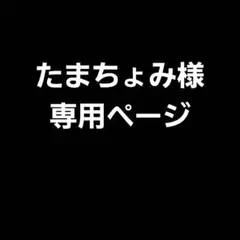 たまちょみ様専用ページ