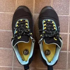 Item thumbnail for item 62a69548-aa63-467d-acc3-2f96419d89ae