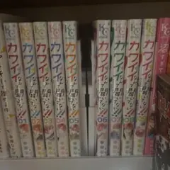 カワイイなんて聞いてない!! 1-9