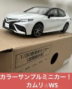【新品未使用】トヨタ⭐︎カラーサンプルミニカー⭐︎カムリWS⭐︎ホワイトパールマイカ⭐︎ 2025年最新】カラーサンプル カムリの人気アイテム - メルカリ