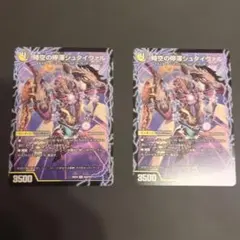 時空の停滞シュタイヴァル/停滞の覚醒者シュタイヴェルト　2枚セット