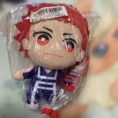 僕のヒーローアカデミア ともぬい 雄英体操服 切島