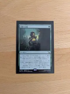 Item thumbnail for item 7cdf331e-818e-433d-9649-9e5c14cbdefd