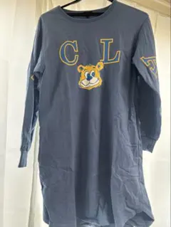 Item thumbnail for item de485a38-9da8-48ba-937c-34eaff63020e