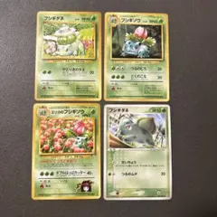 2025年最新】エリカのフシギバナの人気アイテム - メルカリ