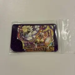 3枚以上送料無料　タケルライコ　ポケモンフレンダ