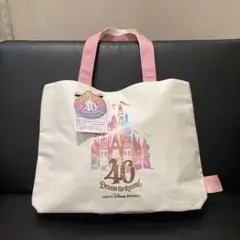 新品❤️ディズニーランド40周年限定　ディズニーリゾート　ディズニーキャンバス