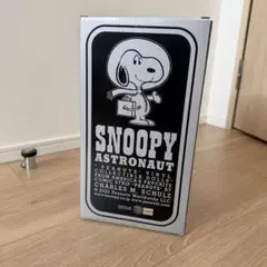 Reeさま専用)メディコムトイVCD スヌーピーアストロノーツ シルバーVer.
