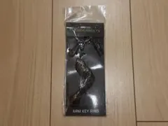 THUNDERBOLTS サンダーボルツ アームキーホルダー 映画 バッキー