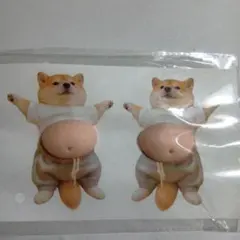 お腹　ぽっこり　シリコン　ぷにぷに　ステッカー　柴犬　シール　お腹シール