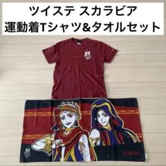ディズニー ツイステ スカラビア寮 運動着Tシャツ Mサイズ　タオルセット