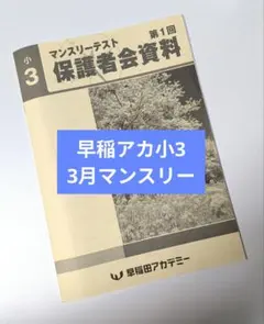 2026年最新】早稲田アカデミー テキスト 小3の人気アイテム - メルカリ