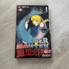 HUNTER×HUNTER 33