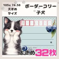 【ボーダーコリー子犬】32枚　宛名シール　ラベル　差出人　大きめサイズ