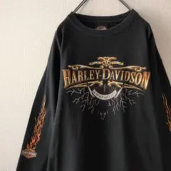 人気デザイン☆ハーレーダビッドソン ビッグロゴ ファイアーパターン ロンT XL