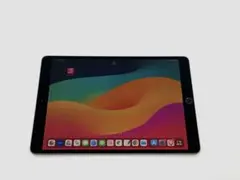iPad Pro 10.5インチ 256GB Wi-Fi スペースグレイ