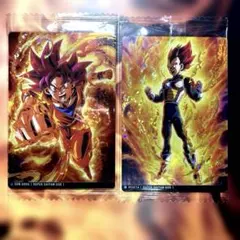 【超サイヤ人ゴッド】孫悟空&ベジータ