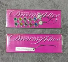 ★ARASHI★ Marks 2008 ★Dream　Alive★キーホルダー