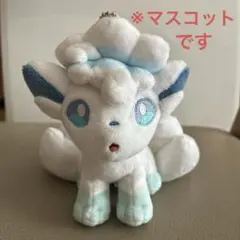 포켓몬 センター アローラロコン マスコット ぬいぐるみ