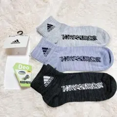 Item thumbnail for item aded28fe-a7b3-4708-8259-0c2ade3c5ead