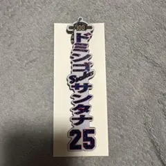 東京ヤクルトスワローズ ドミンゴサンタナ アクリルキーホルダー 25